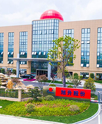 眾升科技高壓動態無功補償裝置(SVG)，助力發往寧波旭升集團股份有限公司高效用電、改善電能質量!