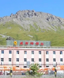 眾升科技系統輕載補償裝置--助力青海威斯特銅業有限責任公司，高效用電、改善電能質量！